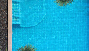 Read more about the article Havuzdaki Yosun Nasıl Temizlenir?